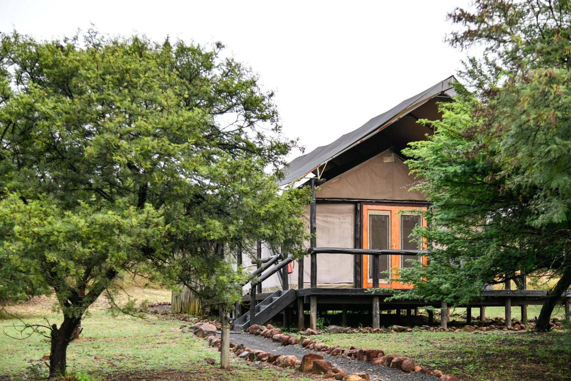 The Springbok Lodge Лейдисмит Екстериор снимка