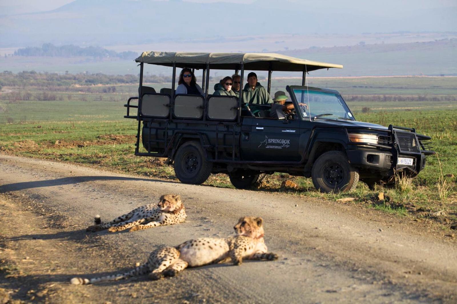 The Springbok Lodge Лейдисмит Екстериор снимка