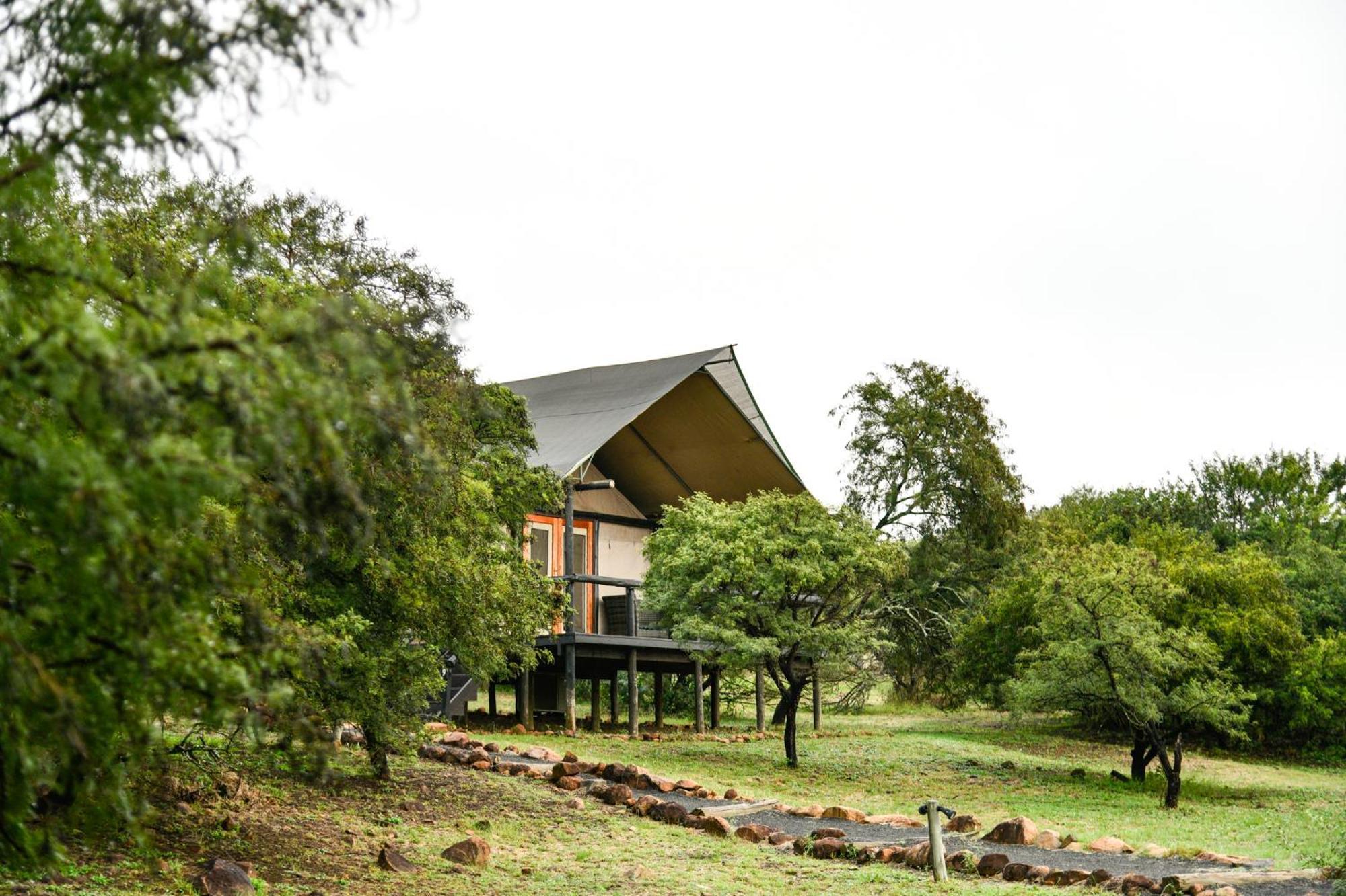 The Springbok Lodge Лейдисмит Екстериор снимка
